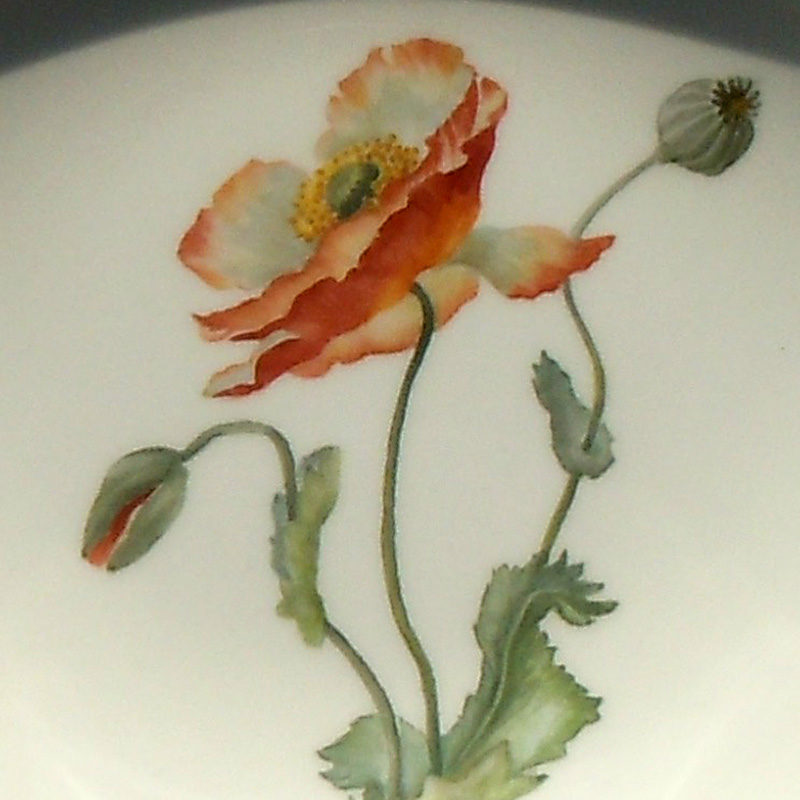 Mohn als Porzellamalerei