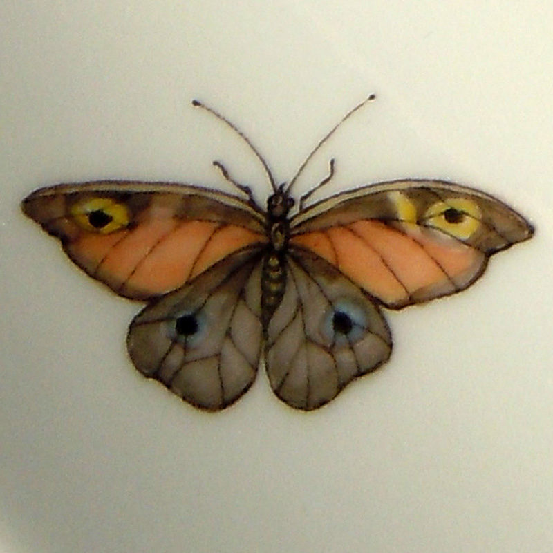 Schmetterling