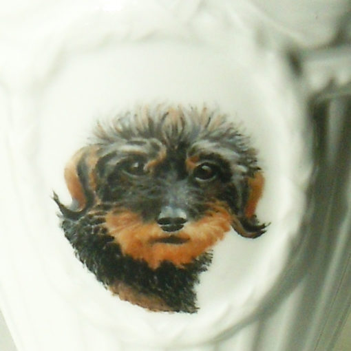 Detailansicht vom Hund Janka