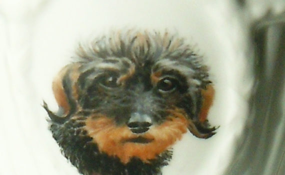 Detailansicht vom Hund Janka