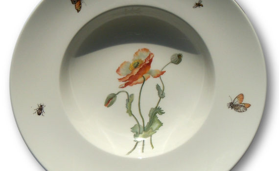 Mohn als Porzellamalerei