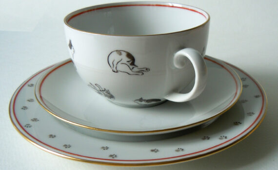 Katzen auf einer Tasse