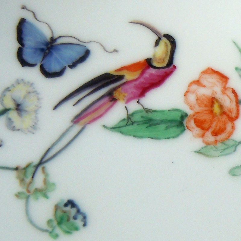 Detailfoto Schmetterling und Paradiesvogel