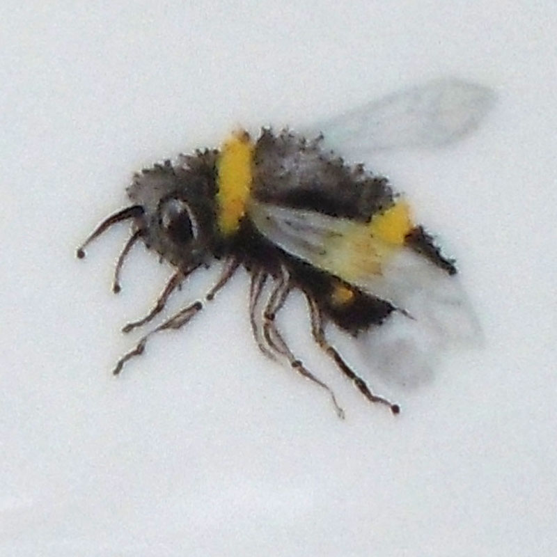 Hummel