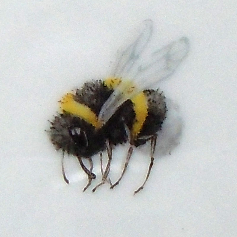 Hummel