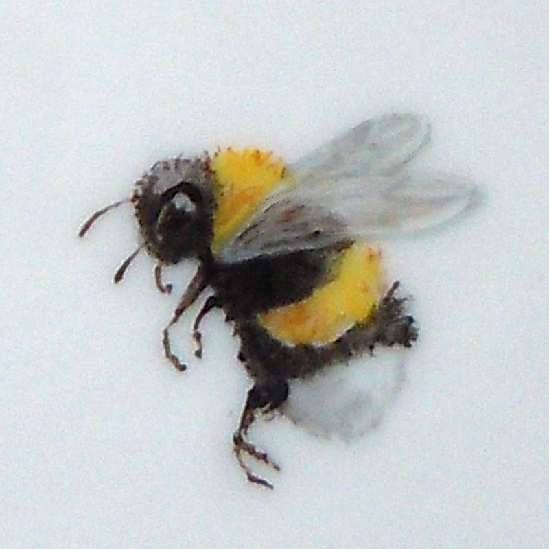 Hummel