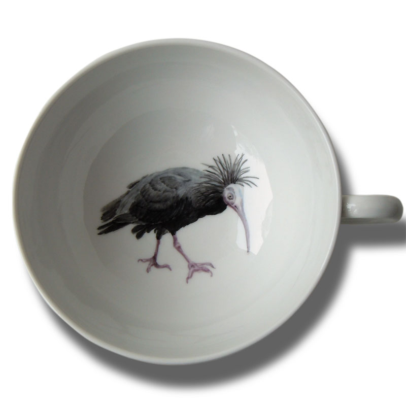 Waldrapp auf KPM-Tasse