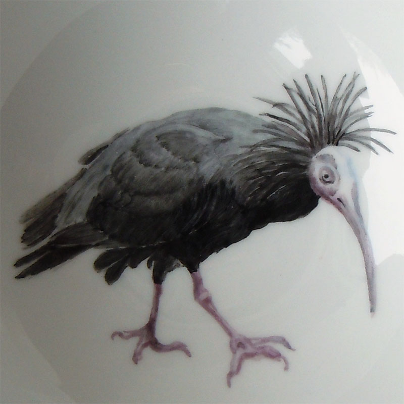 Waldrapp als Porzellanmalerei