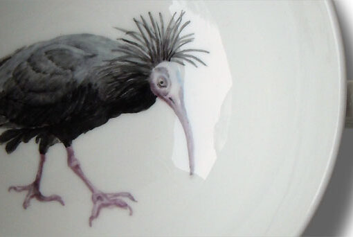 Waldrapp als Porzellanmalerei