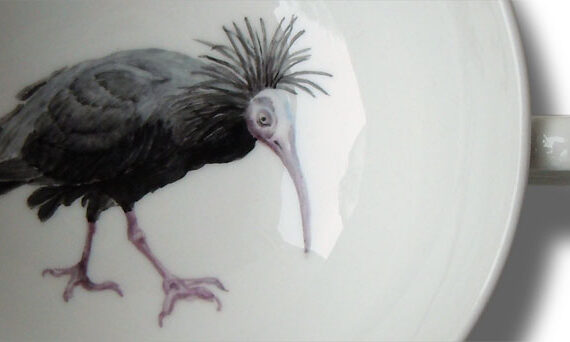 Waldrapp als Porzellanmalerei