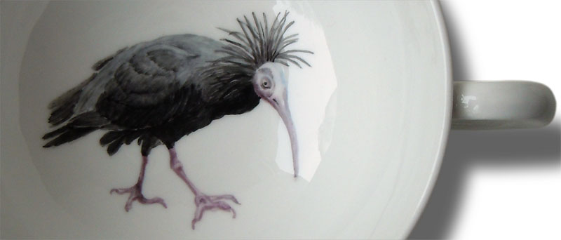 Waldrapp als Porzellanmalerei